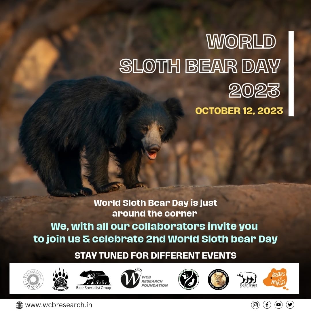 World Sloth Bear day, October 12, 2023 -- a time to reflect on improved coexistence with an under-appreciated species.