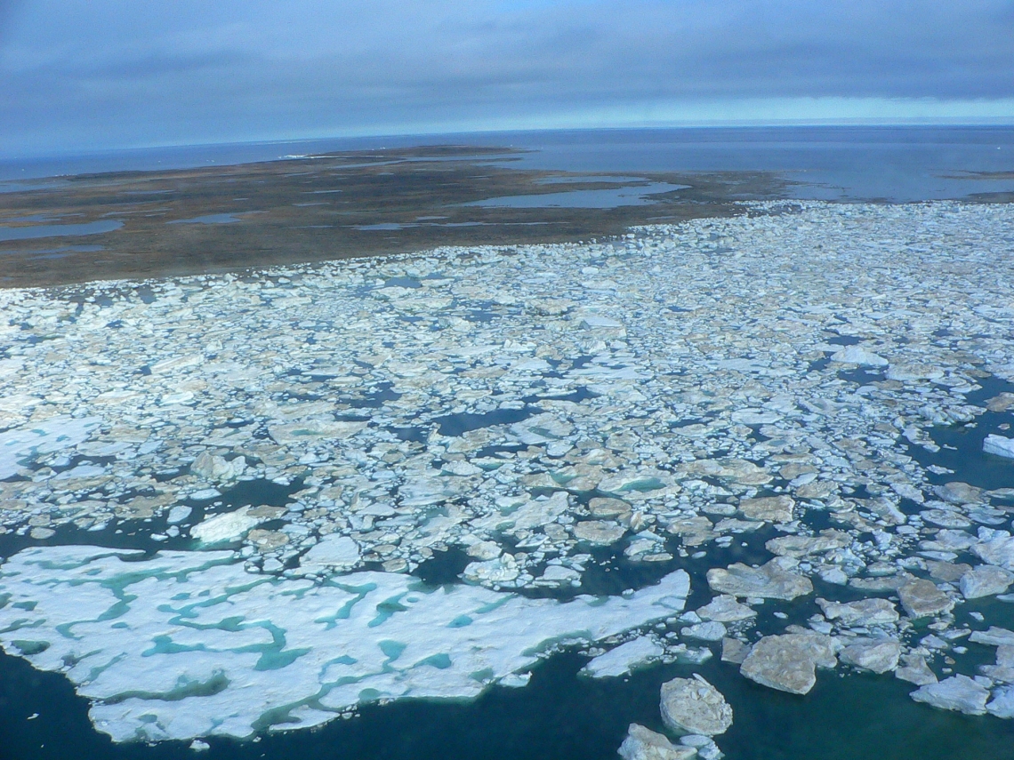 Polar bear_U maritmus_Foxe Basin Canada_ice breaking up summer_D Garshelis