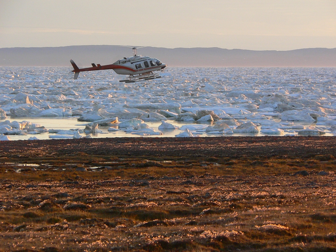 Polar bear_U maritimus_Nunavut Canada_research conducted with helicopter_D Garshelis