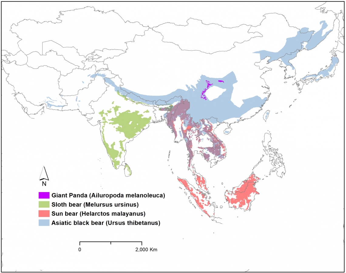 Bear Species Distribution Map Rmapporn - vrogue.co