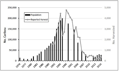 Mulchatna caribou herd size and reported hunter harvests (from Alaska Dept. Fish & Game) Mulchatna caribou herd size and reported hunter harvests (from Alaska Dept. Fish & Game)