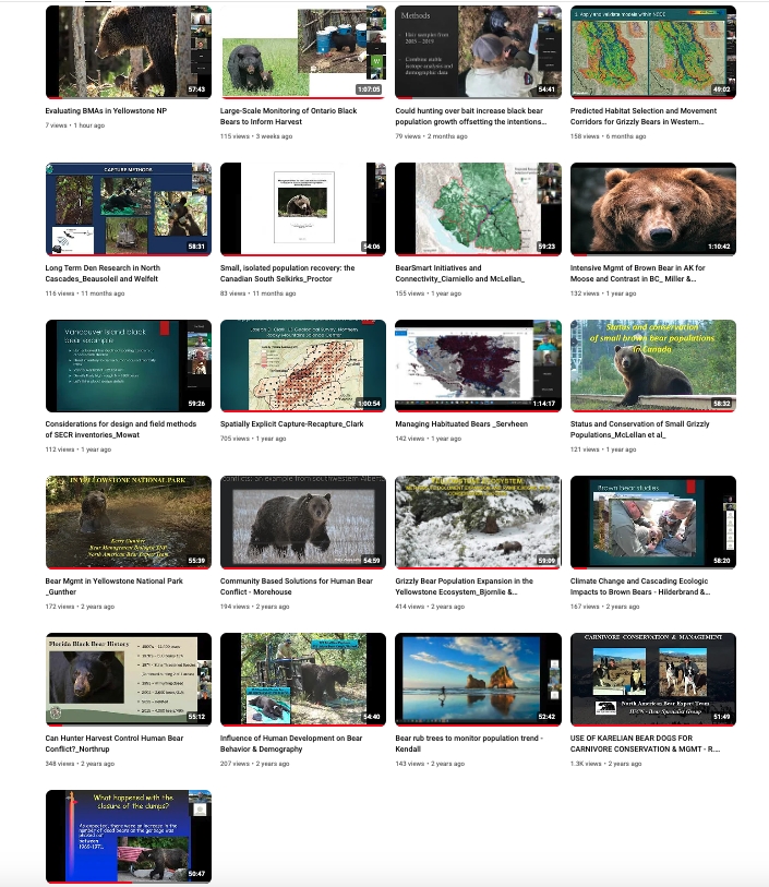 Webinar series of the North American Bears Expert Team of the Bear Specialist Group