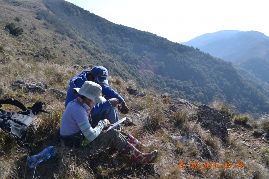 Andean bear T ornatus_Bolivia_researchers consulting map_Ximena Vélez-Liendo