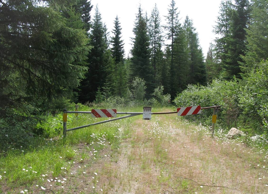Brown bear_U arctos_Montana USA_forestry road closure to provide habitat security_M Proctor