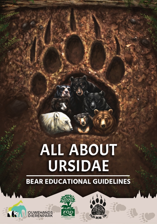 All About Ursidae (2024)