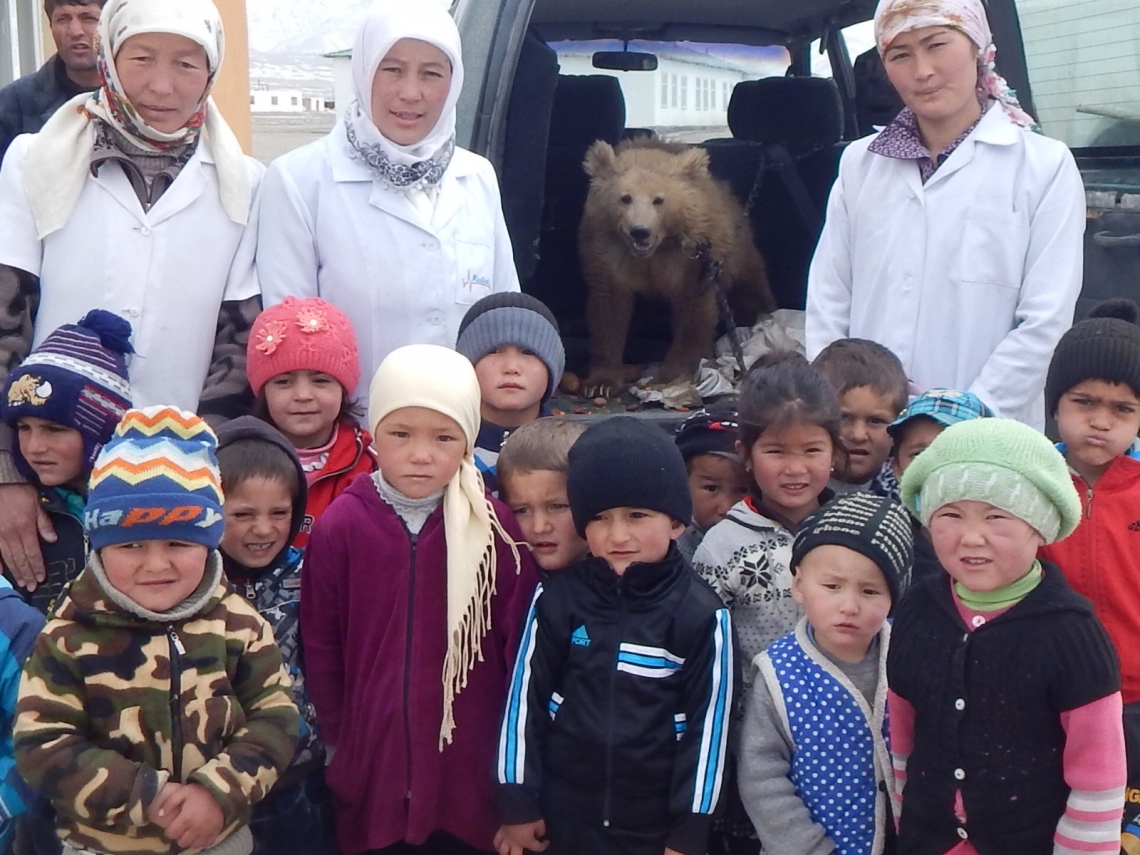Brown bear_U arctos_Tajikistan_Brown bear cub bound for captivity or for medicinal purposes_K Karimov