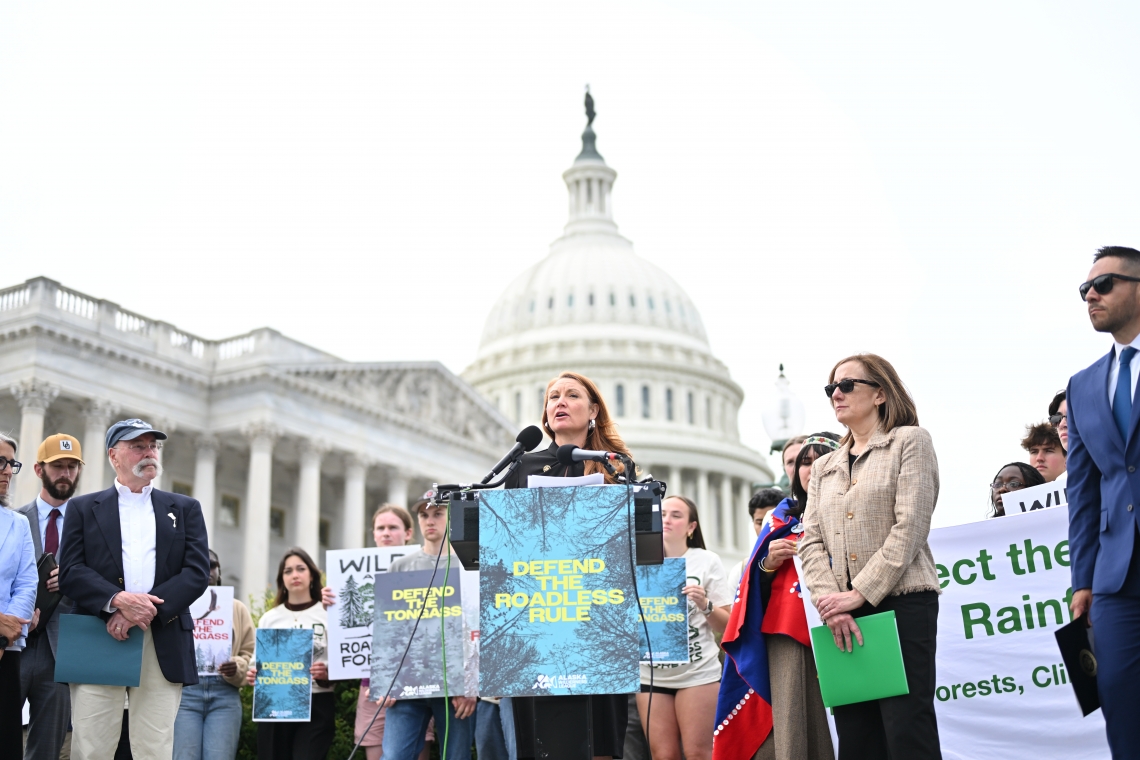 Press conference in front of the US Capitol to support the Forest Service Roadless Rule. Representative Stansbury is speaking. NABET co-chair Chris Servheen is left of her in the dark blazer and cap. Press conference in front of the US Capitol to support the Forest Service Roadless Rule. Representative Stansbury is speaking. NABET co-chair Chris Servheen is left of her in the dark blazer and cap.