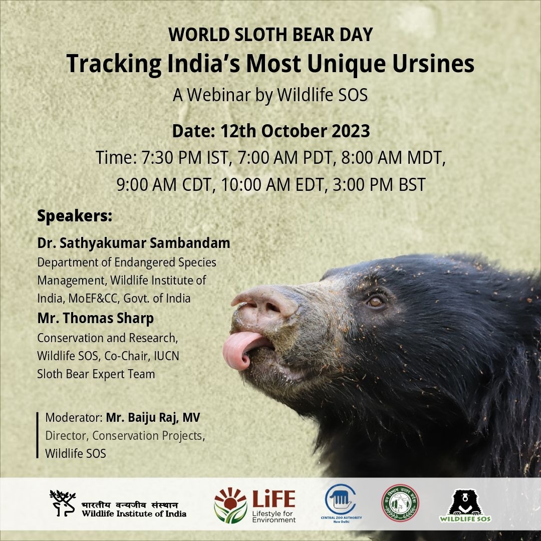 World Sloth Bear Day included webinars by leading experts in sloth bear ecology and conservation