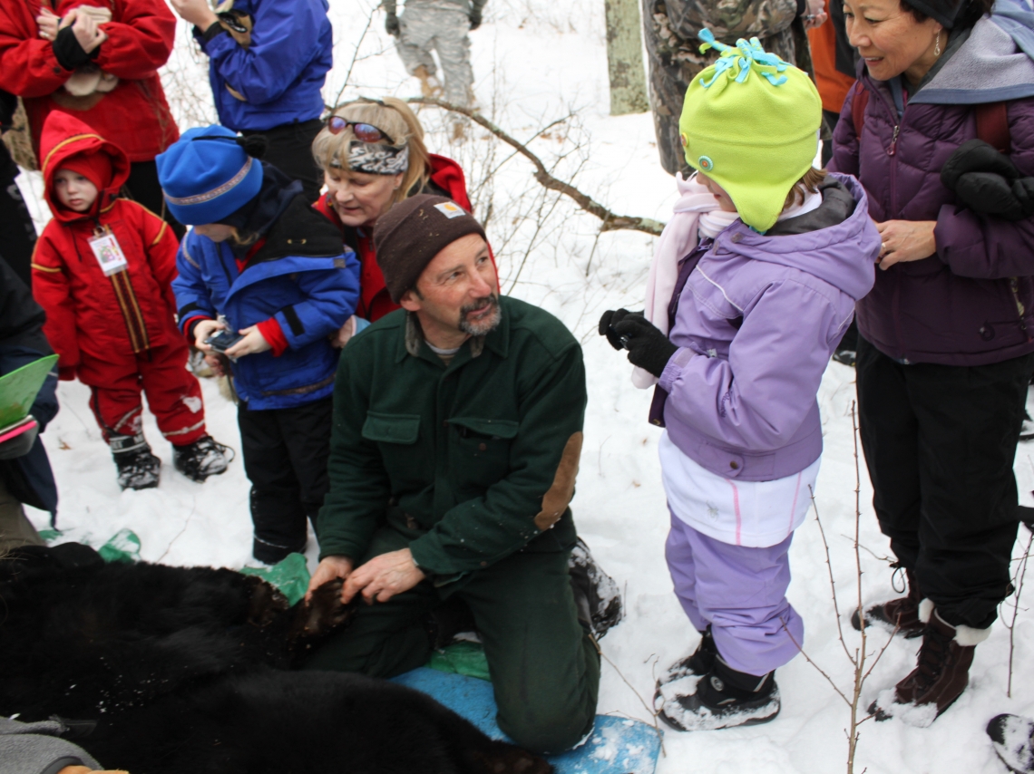 Teaching public about American black bear hibernation Minnesota_D Garshelis