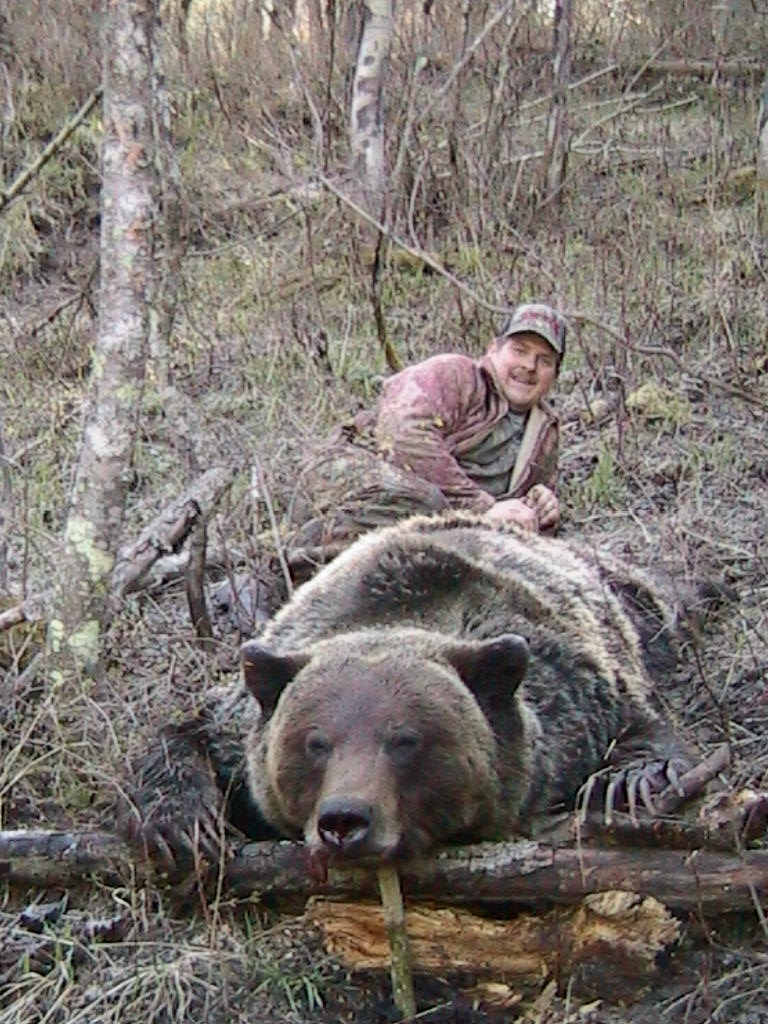 Brown bear_U arctos_British Columbia Canada_legally hunted bear_B McLellan