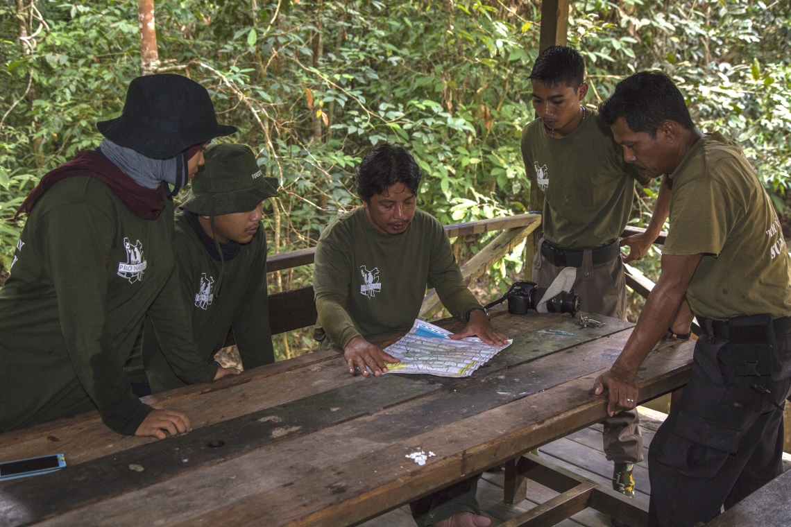 Sun bear_H malayanus_Kalimantan Indonesia_Patrol team_Jason Savage