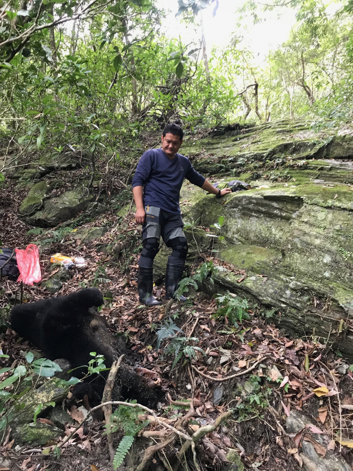 Asiatic black bear_U thibetanus_Taiwan_finding dead bear caught in snare_M.H. Hwang