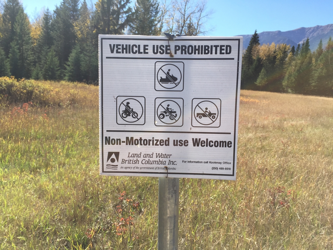 Brown bear_U arctos_British Columbia Canada_access management sign limiting motorized access into good bear habitat_M Proctor