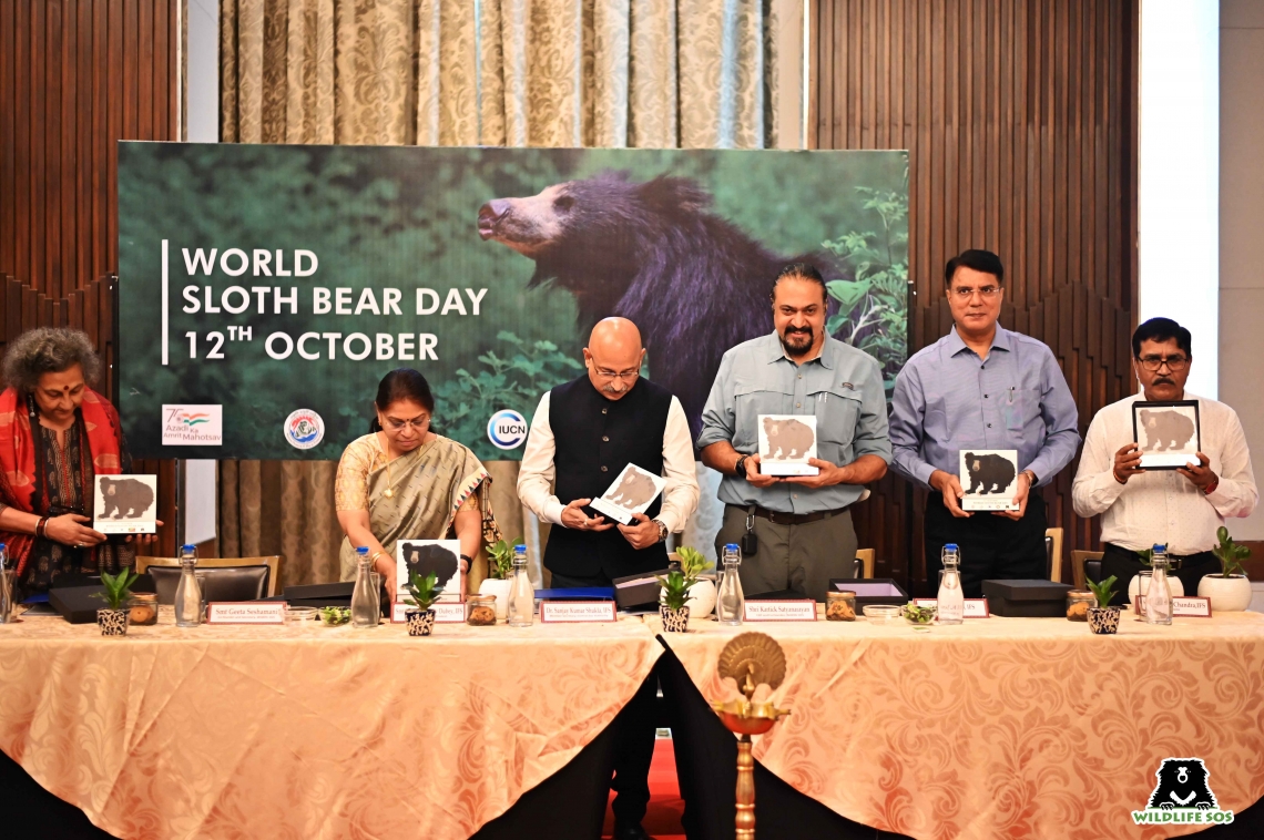Sloth bear_M ursinus_Agra India_World Sloth Day inauguration Oct 12, 2022_Wildlife SOS