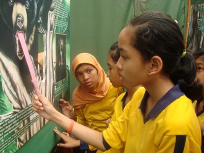 Sun bear_H malayanus_Kalimantan Indonesia_students learn about sun bears in education centre