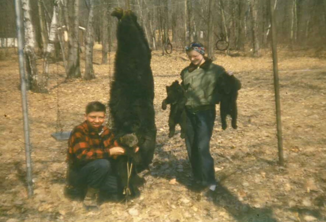American black bear_U americanus_Minnesota_family of bears killed in den for bounty, circa 1949_unknown